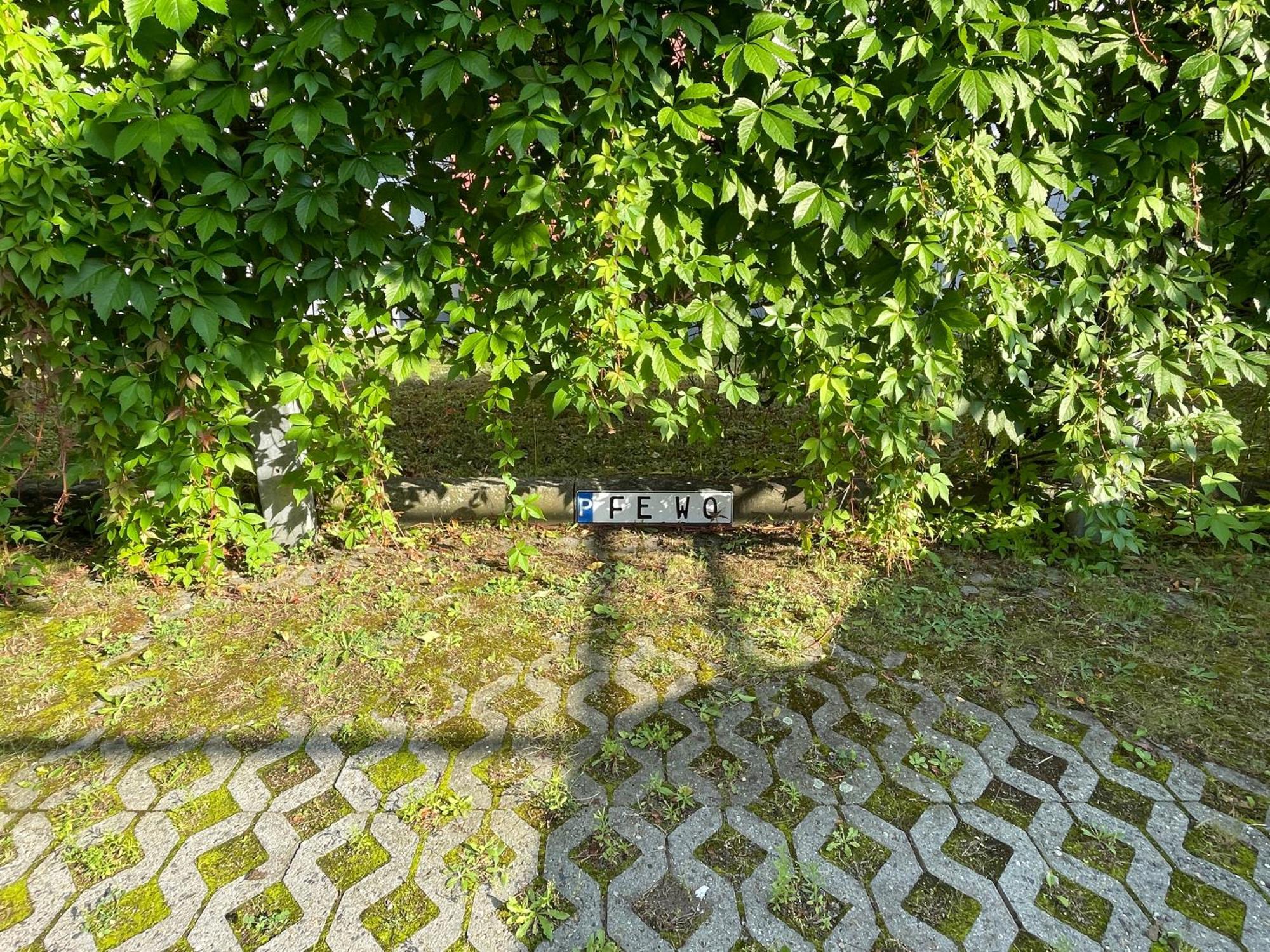 Apartment Rooftop דרזדן מראה חיצוני תמונה